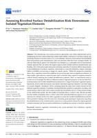 Assessing Riverbed Surface Destabilization Risk Downstream Isolated Vegetation Elements