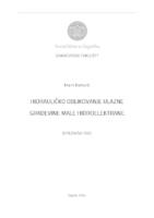 Hidrauličko oblikovanje ulazne građevine male hidroelektrane