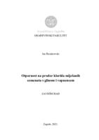 Otpornost miješanih cemenata s glinom i vapnencem na prodor klorida