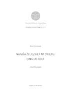 prikaz prve stranice dokumenta Najviša željeznica na svijetu: Qinghai - Tibet