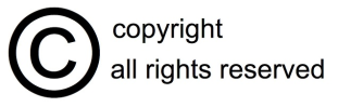 Licence In copyright icon